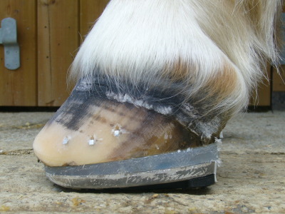 Post-shoeing