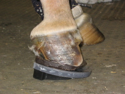 Side View with shoeing system